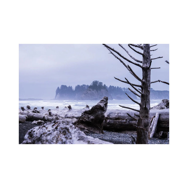 Skeleton Tree by Heather Roberson - Wrapped Canvas Print, 20.32 cm H x 30.48 cm W