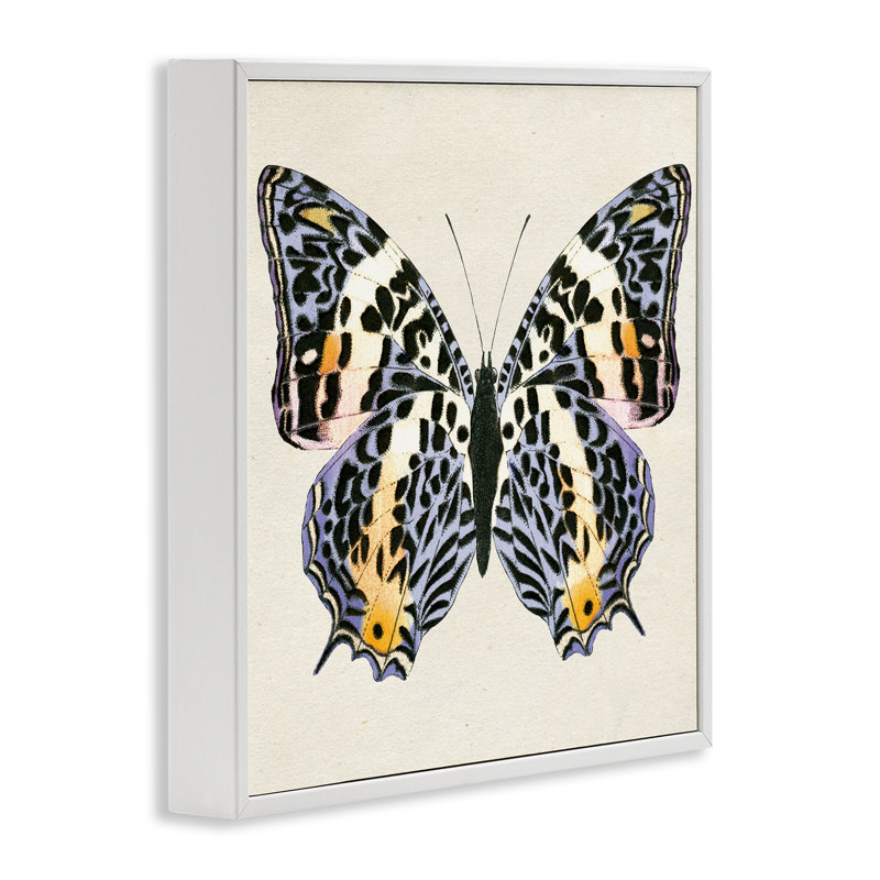  «Speckled Butterfly Sket», art de la giclée encadrée par Susan Arnot, H 17 po x l 17 po