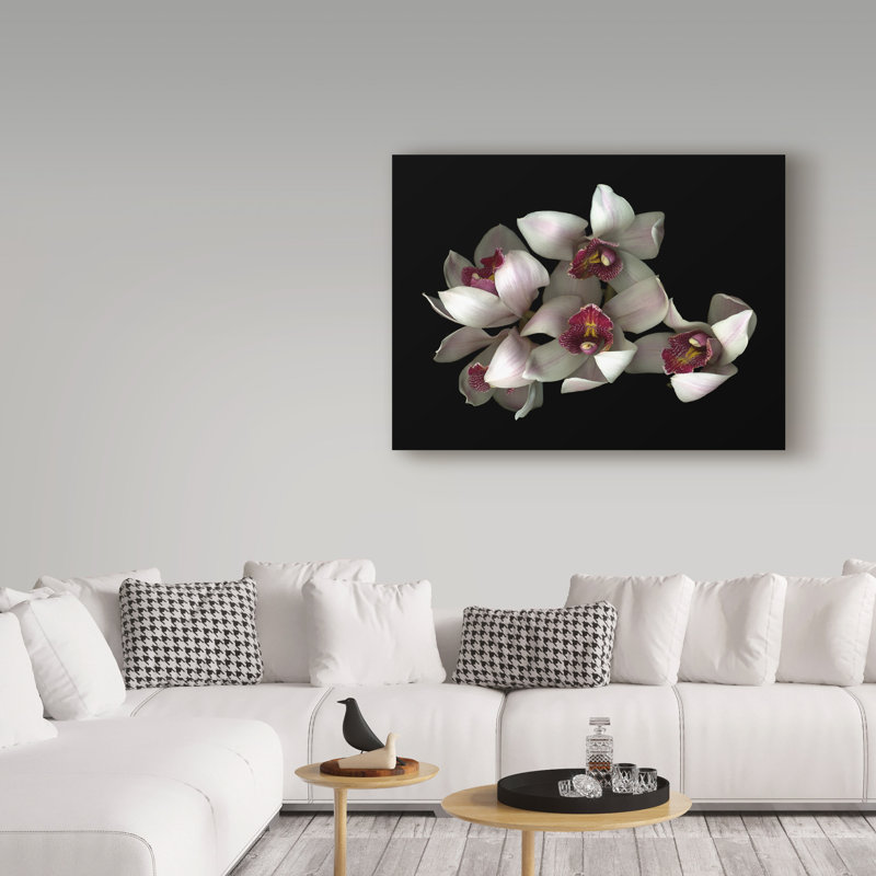 Dosta «Pale Pink and Fuchsia Orchid 2» par Reproduction d'art graphique sur toile tendue, H 35 po x l 47 po x P 2 po