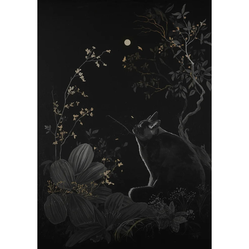 Lunar Gaze