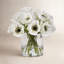 Poppy In Cylinder Glass-36623162