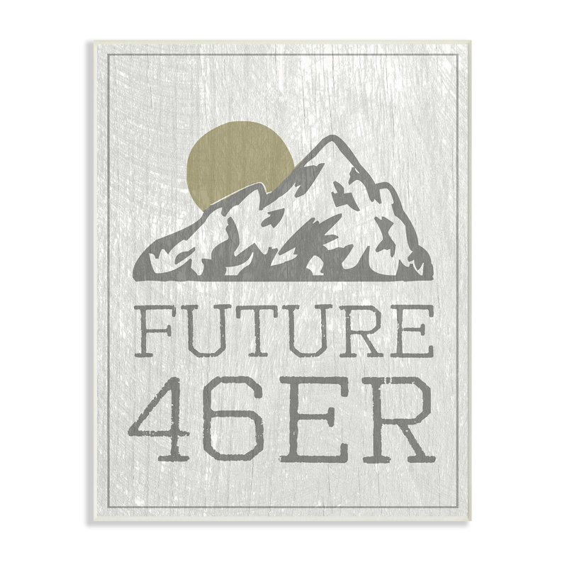 « future 46er randonnée adirondacks », art textuel, Plaque, H 15 po x l 10 po