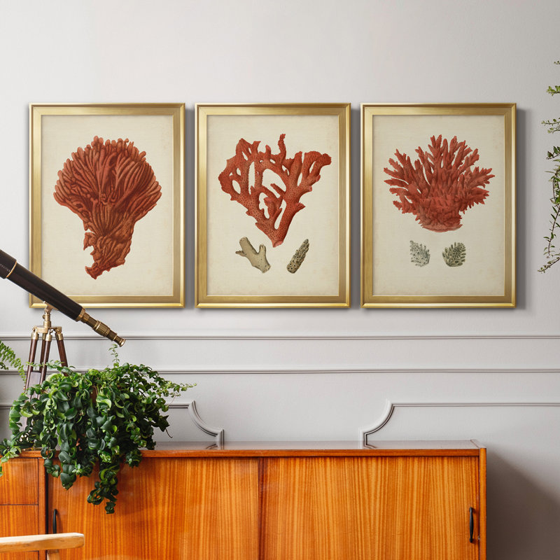 Antique Red Coral I - ensemble de 3 impressions sur toile encadrées, Doré, H 18,5 po x l 73,5 po x P 1,5 po