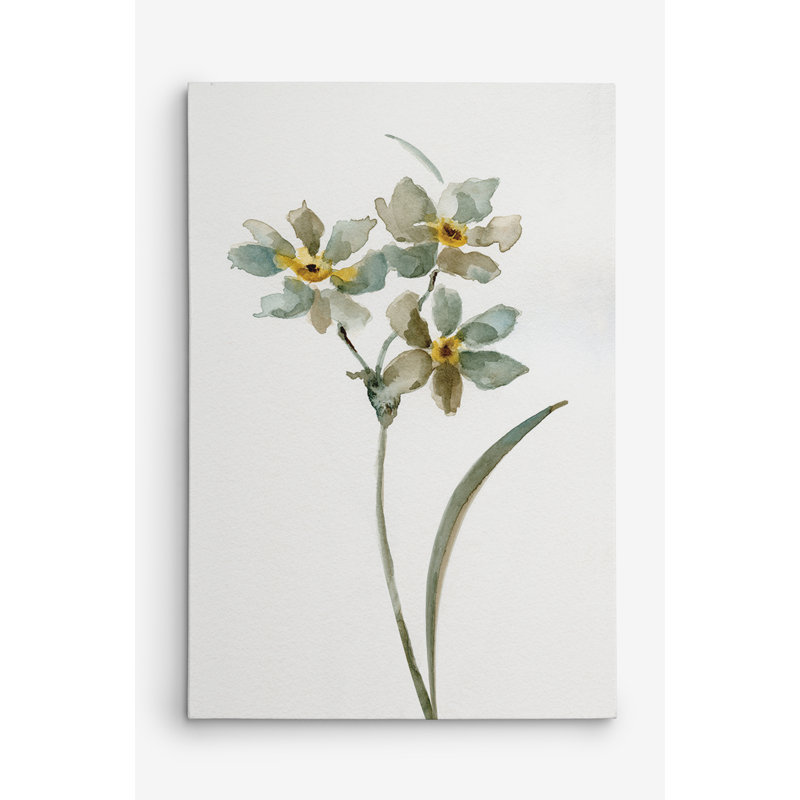«Neutral Botanical I», reproduction sur toile, H 12 po x l 18 po x P 1,5 po