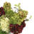 Hydrangea Sedum and Ivy Floral