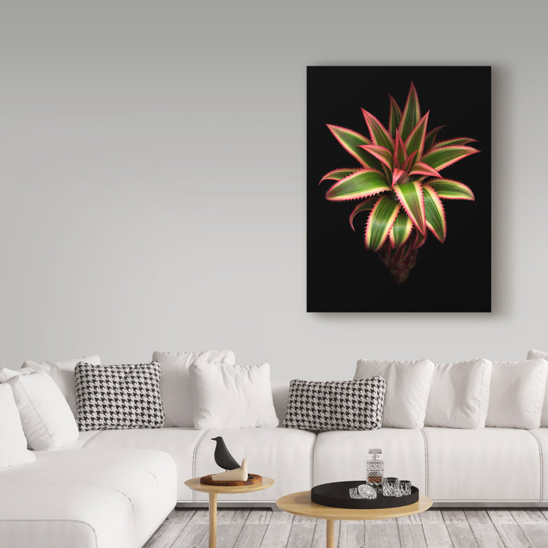 «Pineapple» par Dosta, impression sur toile tendue, H 32 po x l 24 po x P 2 po