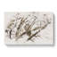 Great Horned Owl Resting - Wrapped Canvas Print-56663493