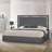 Dilver Upholstered Platform Bed-98999598-98977770