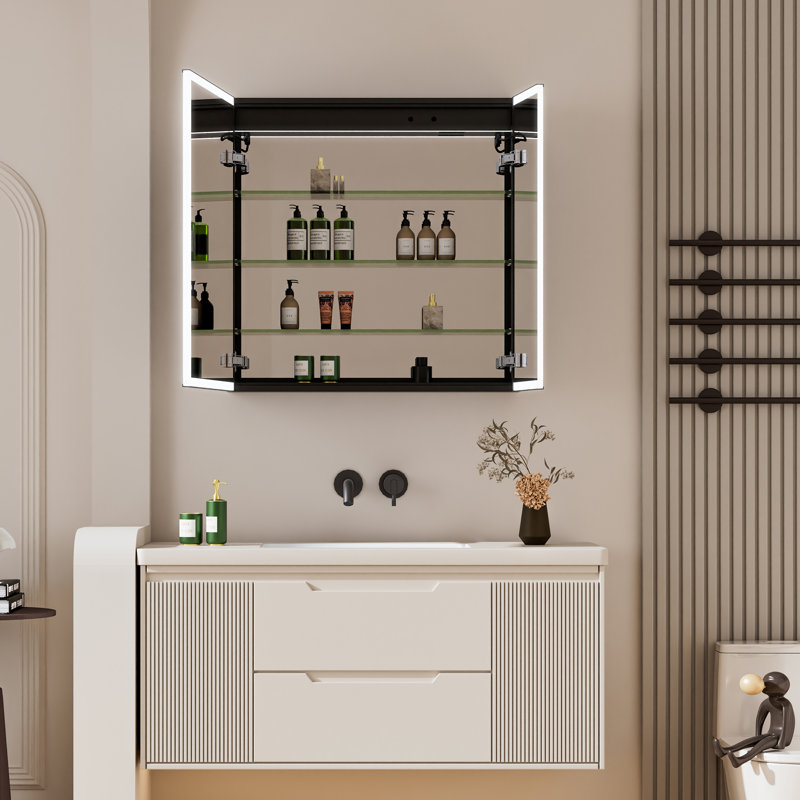 Armoire à miroir DEL à fixation murale encastrée ou en surface Wajaahat H 30 po avec désembueur et tablettes réglables, cadre noir