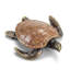 Alex the Turtle Sculpture