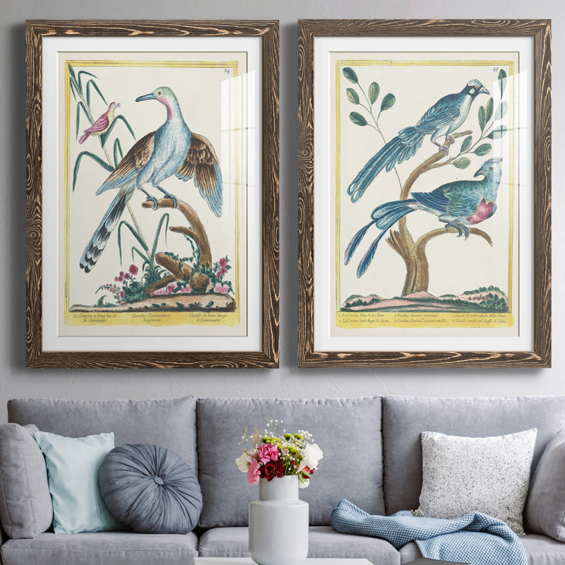 Pastel Birds V Premium encadré mat - prêt à être accroché, H 31,5 po x l 23,5 po x P 1 po, Noyer