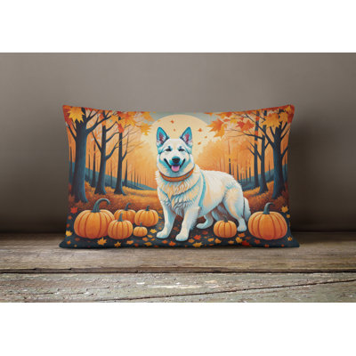 Other/No Pattern Outdoor Throw Pillow