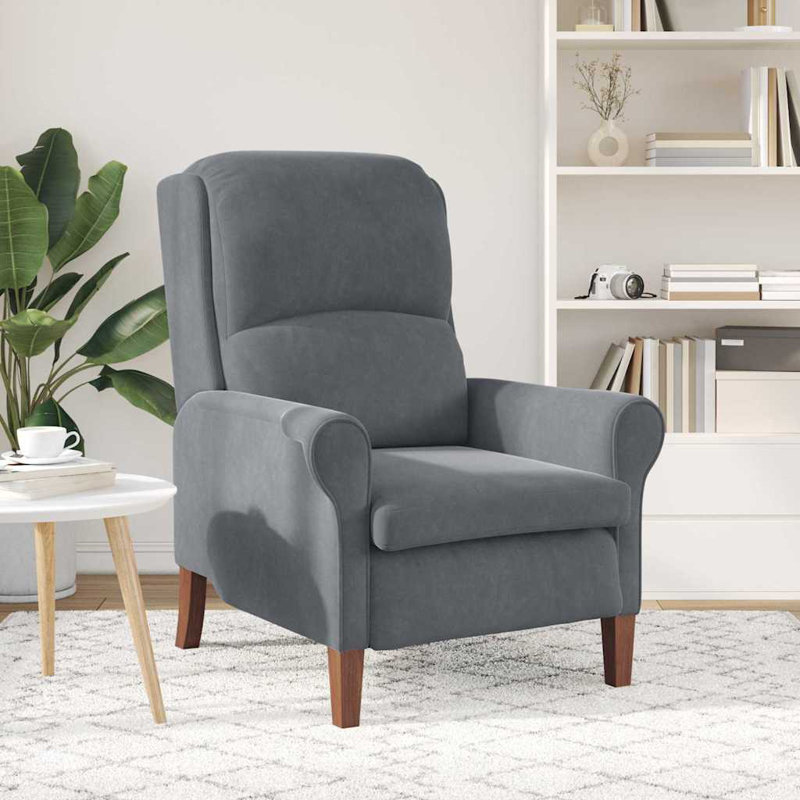 Fauteuil vidaXL en velours gris foncé, Gris foncé