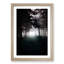 White Wolf in a Forest - Picture Frame Graphic Art Print-55768640-55768639