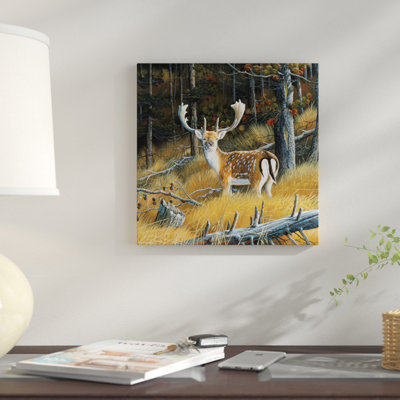 «Beautiful Deer», impression sur toile