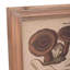 Single Picture Frame Print