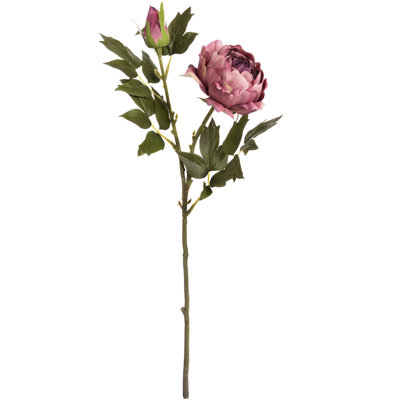 Arrangement