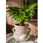 Vase de table en terre cuite Januell-88364624