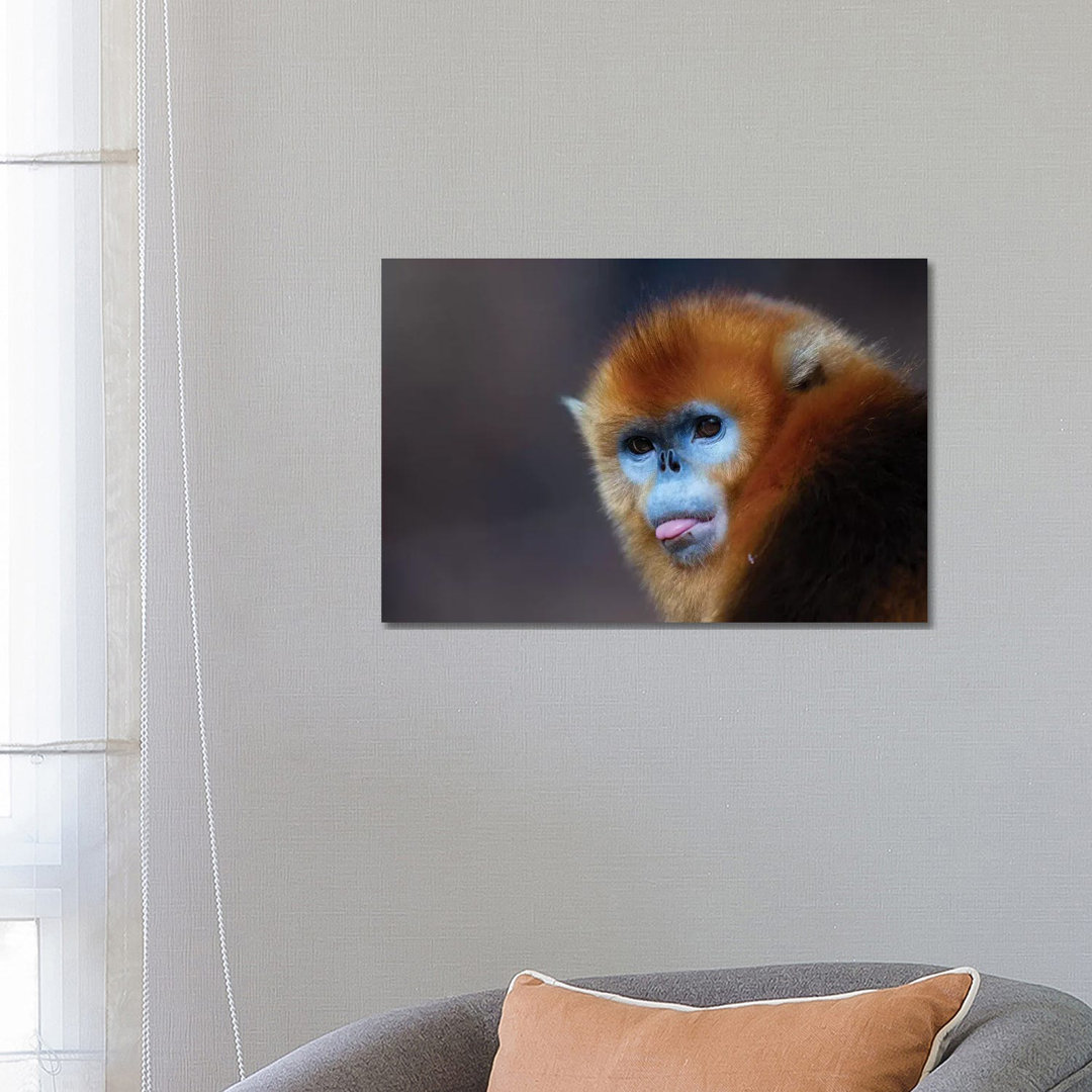 Golden Snub-Nosed Monkey by Mogens Trolle - Wrapped Canvas Print