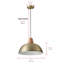 Luminaire suspendu conique à 1 lumière Bernyce-1356188213-1356188222