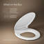 Veilleuse Rutledge avec siège de toilette rond Grip-Tight-85967572