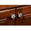 Origins Collection 1-1/4 In. Acrylic Flower Knob