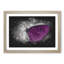 Butterfly upon a Flower - Picture Frame Graphic Art Print-56917320-56917316