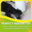 Jouet pour chien Interactives
