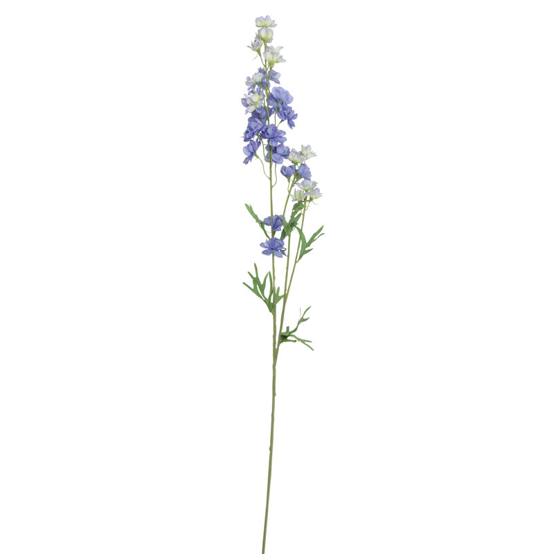 Tiges Delphinium