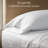 Threadmill 800 Thread Count 100% Cotton Sateen Sheet Set-284356050-339213262