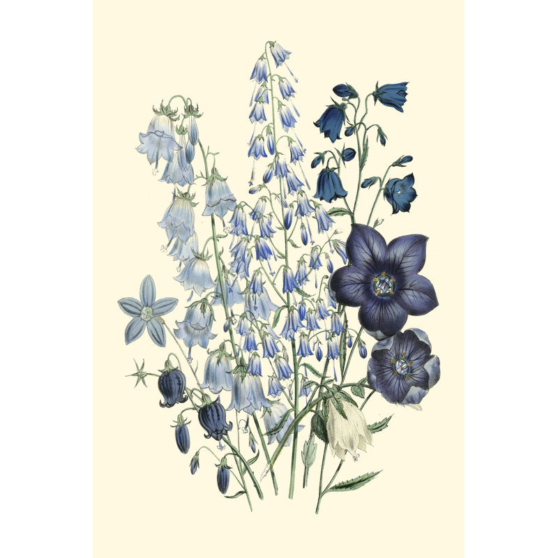 Loudon Florals IV, H 18 po x l 12 po x P 1,25 po