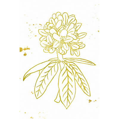 " Gold Blooms II " by Wild Apple Portfolio Painting Print