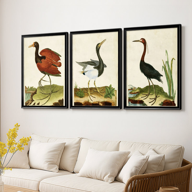 Heron Portrait IV - Toile tendue avec châssis sur mesure - 3 pièces, Noir, H 21 po x l 30 po