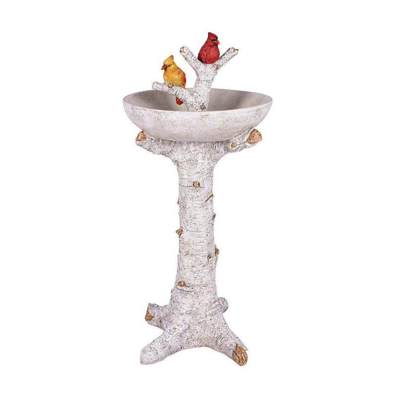 Bain d'oiseaux Dontavion