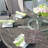 Hampton 7-Piece Outdoor Dining Set with Rectangular Table in PE Wicker and Cushions-116191398
