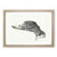 Head of a Duck by Jean Bernard - Framed Print-55580232-55580231