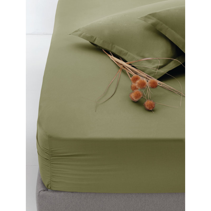 100% Cotton Fitted Sheet, King Fitted Sheet, Green