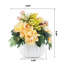 Arrangements floraux mixtes en pot-1962022128