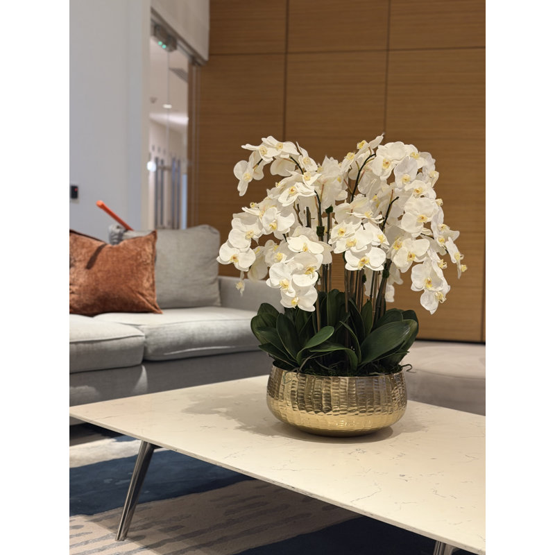 Roberi bowl with multiple stems of white Phalaenopsis orchids, Pink, 38" H x 22" W x 22" D