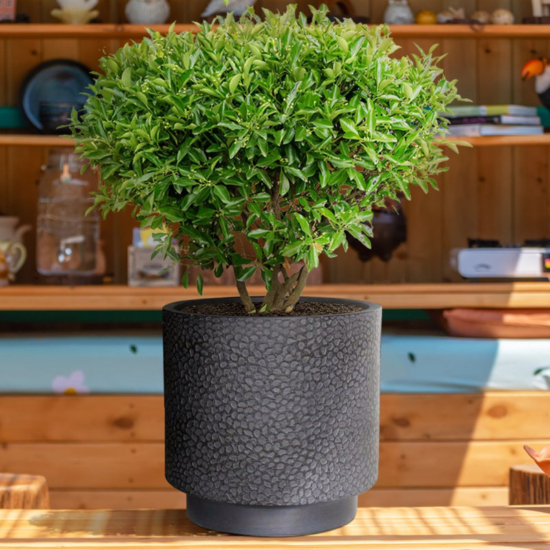 Slate Effect Reinforced Stone Outdoor Plant Pot, Frostproof Garden Flower Pot, Round Garden Planter with Drainage Holes