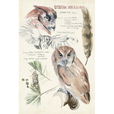 Revues de la faune I