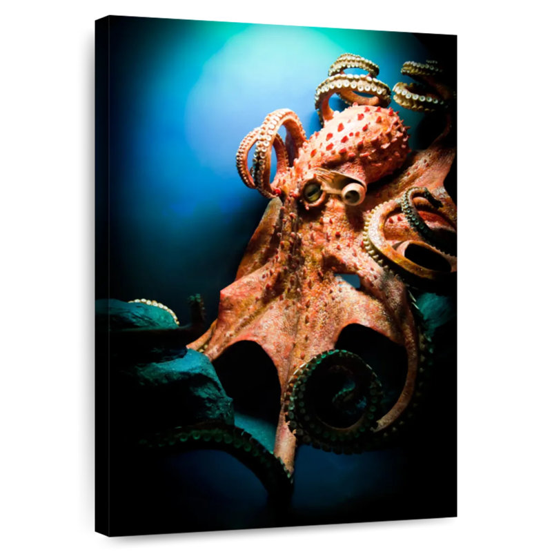 Brampt Powerful Octopus, 39" H x 26" W