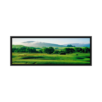 " Farmland Southland New Zealand "