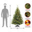 The Holiday Aisle® 6ft. Kincaid Spruce Tree with Clear Lights