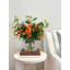 Ranunculus Arrangement in Glass Vase