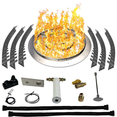 Ensemble de plaque de cuisson et de brûleur en acier inoxydable pour gaz naturel (GN) jusqu'à 250 000 BTU