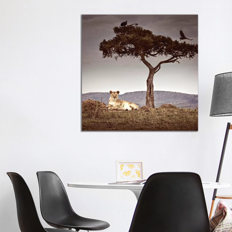 Observance I by Klaus Tiedge - Print on Canvas, Wrapped Canvas, 93.98 cm H x 93.98 cm W x 1.91 cm D