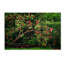 «The Apple Tree», reproduction de photo sur toile tendue-2122090198