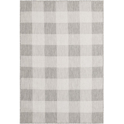 Tapis intérieur / extérieur gris Borland