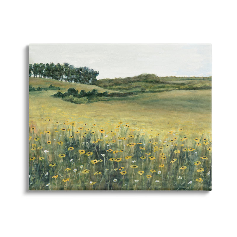 Stupell Industries Rural Daisy Meadow Framed Giclee Art Design By Michael Willett, Giclée encadrée noir minuit